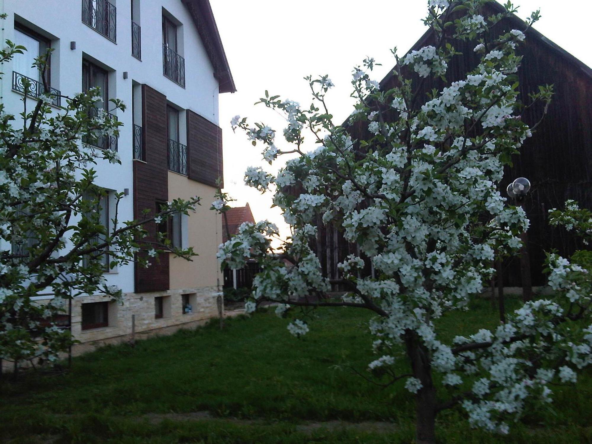 Stupina Hotel Brasov Luaran gambar